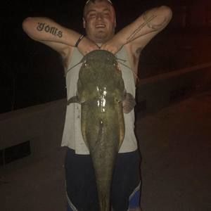 Meet your Posher, Bradley